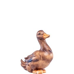 Duck Artis brown