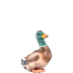 Duck Artis green