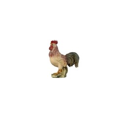 MA Rooster