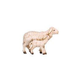 MA Sheep with lamb standing