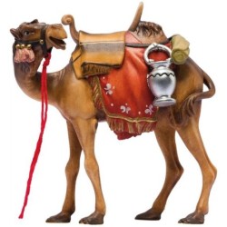 SI Camel