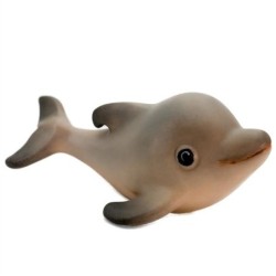 Delfino baby Flipper