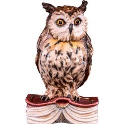 Owl on book