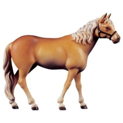 Horse Haflinger