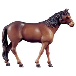 Horse brown