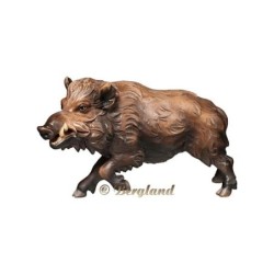 Wild boar