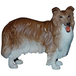 Collie