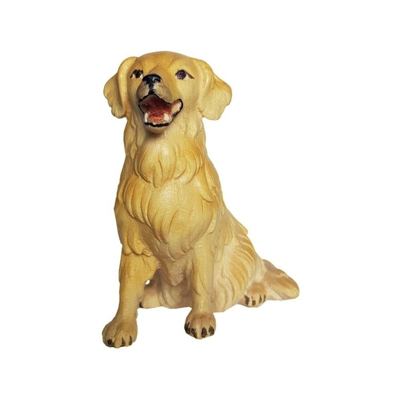 Golden Retriever seduto