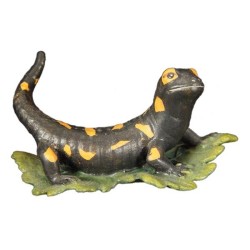 Salamandra