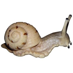 Schnecke