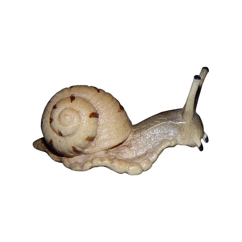 Schnecke