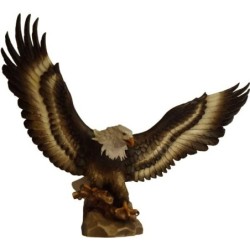 Aquila