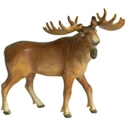 Elk