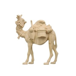 ZI Camel with luggage